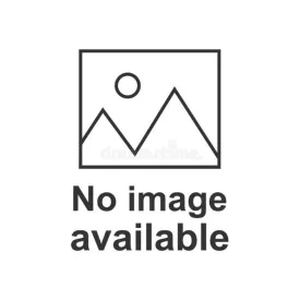 Smartwool Women's Bike Zero Cushion Low Ankle Socks