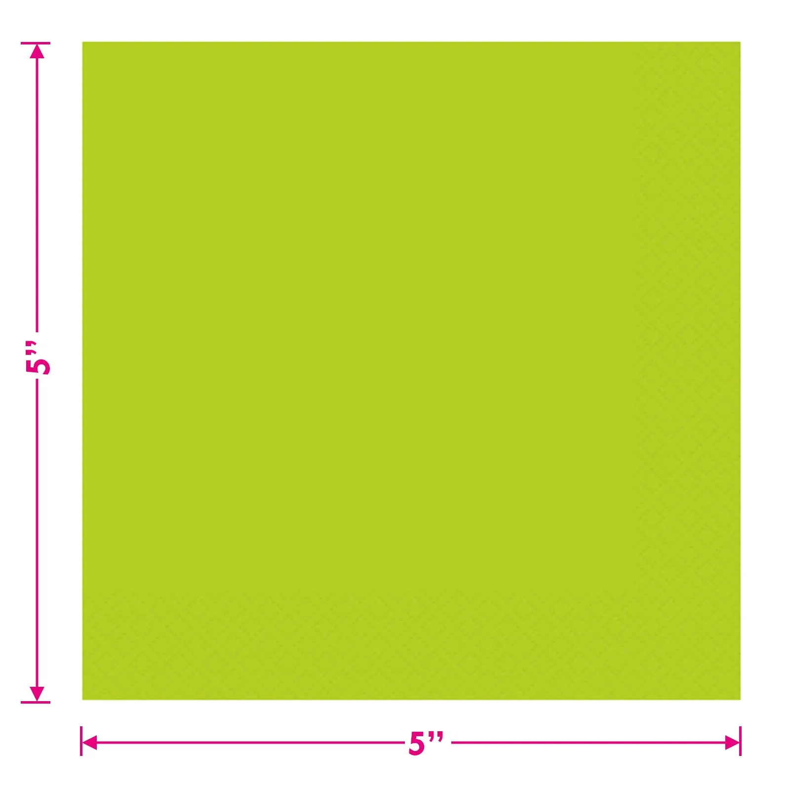 Watermelon Party Supplies - Watermelon Slice Dinner Plates and Napkins for Birthday Parties, Picnics, and Summer Parties (Serves 16)